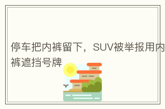 停車(chē)把內褲留下，SUV被舉報用內褲遮擋號牌