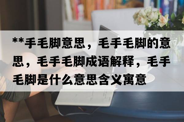 **手毛腳意思，毛手毛腳的意思，毛手毛腳成語(yǔ)解釋?zhuān)置_是什么意思含義寓意