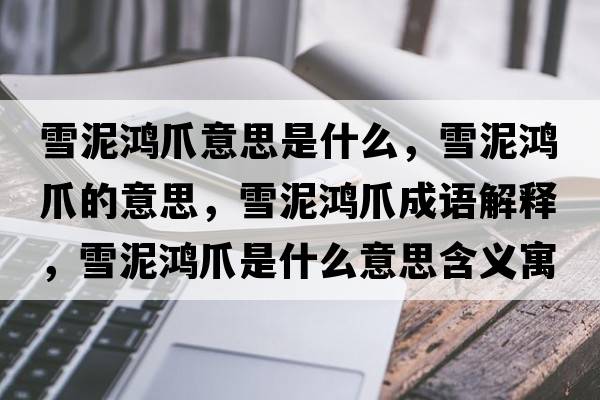 雪泥鴻爪意思是什么，雪泥鴻爪的意思，雪泥鴻爪成語(yǔ)解釋?zhuān)┠帏欁κ鞘裁匆馑己x寓意