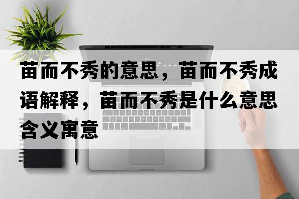 苗而不秀的意思，苗而不秀成語(yǔ)解釋?zhuān)缍恍闶鞘裁匆馑己x寓意