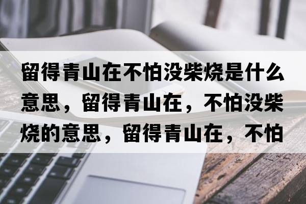 留得青山在不怕沒(méi)柴燒是什么意思，留得青山在，不怕沒(méi)柴燒的意思，留得青山在，不怕沒(méi)柴燒成語(yǔ)解釋?zhuān)舻们嗌皆?，不怕沒(méi)柴燒是什么意思含義寓意