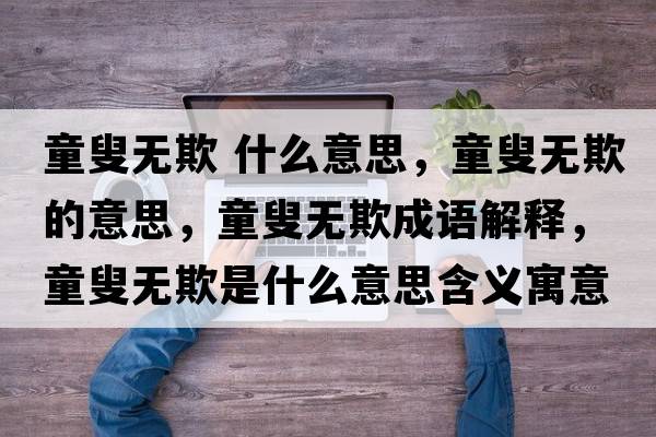 童叟無(wú)欺 什么意思，童叟無(wú)欺的意思，童叟無(wú)欺成語(yǔ)解釋?zhuān)艧o(wú)欺是什么意思含義寓意