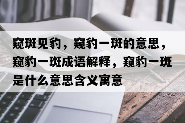 窺斑見(jiàn)豹，窺豹一斑的意思，窺豹一斑成語(yǔ)解釋?zhuān)Q豹一斑是什么意思含義寓意
