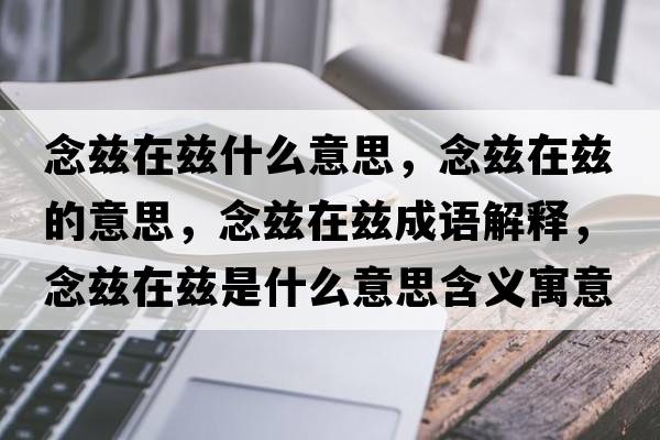 念茲在茲什么意思，念茲在茲的意思，念茲在茲成語(yǔ)解釋?zhuān)钇澰谄澥鞘裁匆馑己x寓意