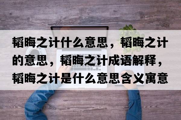 韜晦之計什么意思，韜晦之計的意思，韜晦之計成語(yǔ)解釋?zhuān)w晦之計是什么意思含義寓意