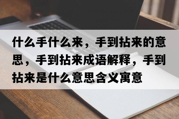 什么手什么來(lái)，手到拈來(lái)的意思，手到拈來(lái)成語(yǔ)解釋?zhuān)值侥閬?lái)是什么意思含義寓意