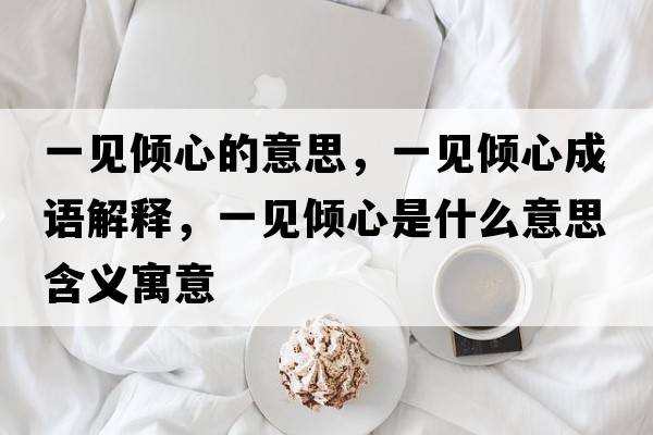 一見(jiàn)傾心的意思，一見(jiàn)傾心成語(yǔ)解釋?zhuān)灰?jiàn)傾心是什么意思含義寓意