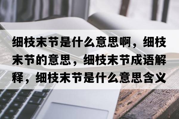 細枝末節是什么意思啊，細枝末節的意思，細枝末節成語(yǔ)解釋?zhuān)氈δ┕澥鞘裁匆馑己x寓意