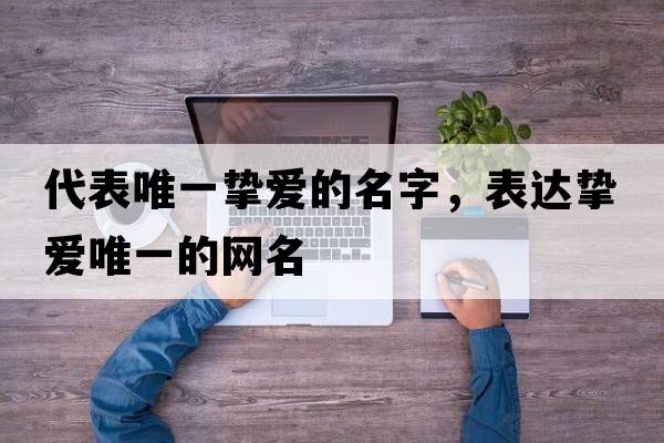 代表唯一摯愛(ài)的名字，表達摯愛(ài)唯一的網(wǎng)名