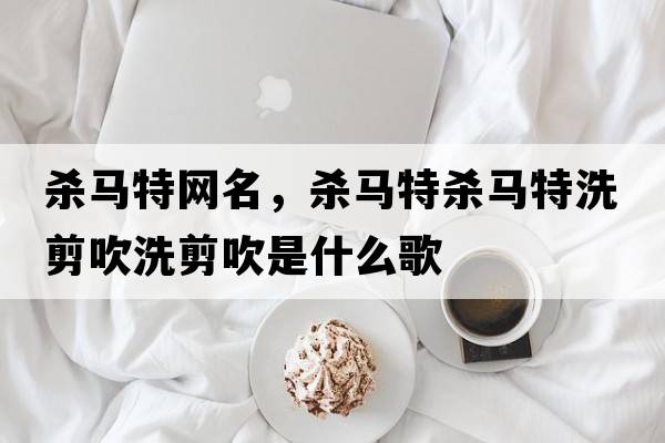 殺馬特網(wǎng)名，殺馬特殺馬特洗剪吹洗剪吹是什么歌