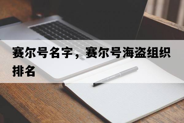 賽爾號名字，賽爾號海盜組織排名
