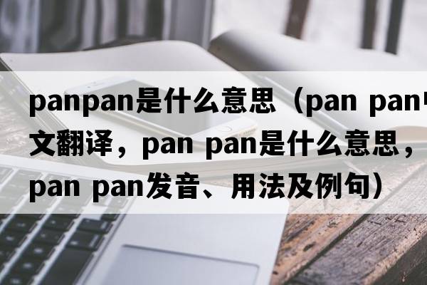panpan是什么意思（pan pan中文翻譯，pan pan是什么意思，pan pan發(fā)音、用法及例句）