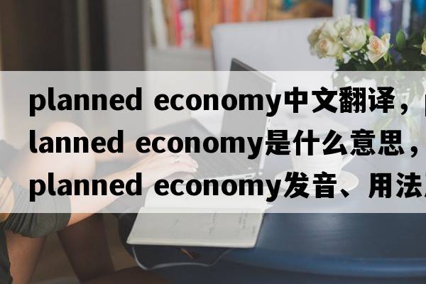 planned economy中文翻譯，planned economy是什么意思，planned economy發(fā)音、用法及例句