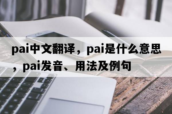 pai中文翻譯，pai是什么意思，pai發(fā)音、用法及例句