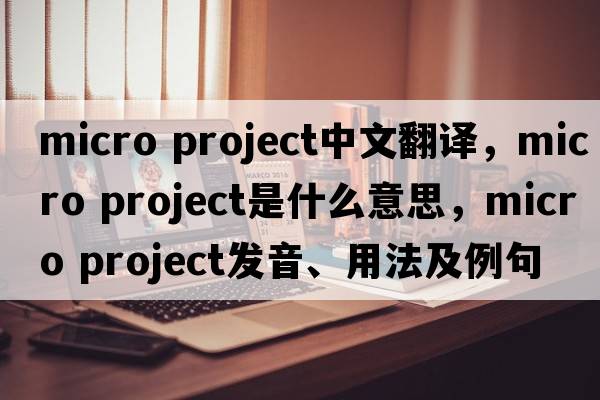 micro project中文翻譯，micro project是什么意思，micro project發(fā)音、用法及例句