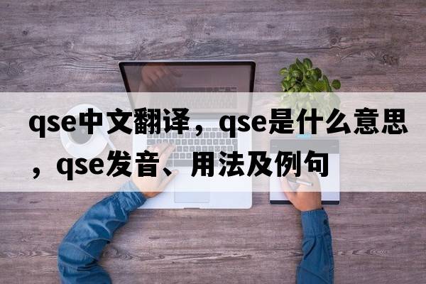 qse中文翻譯，qse是什么意思，qse發(fā)音、用法及例句