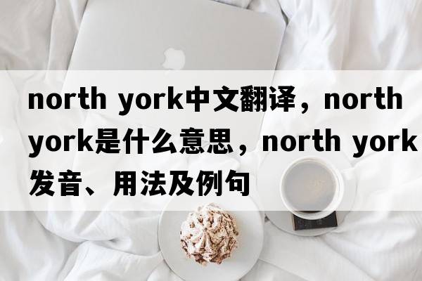 north york中文翻譯，north york是什么意思，north york發(fā)音、用法及例句
