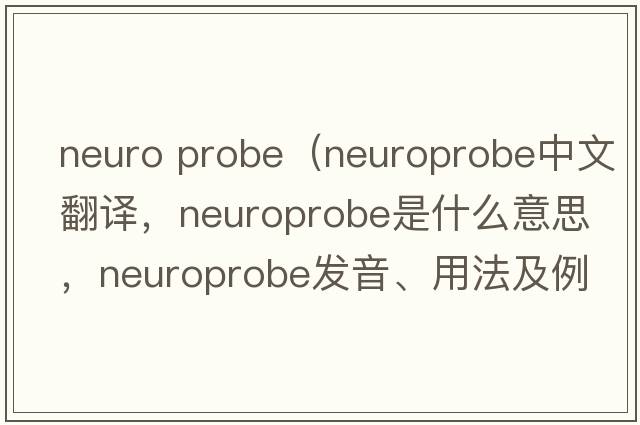 Neuro Probe（neuroprobe中文翻譯，neuroprobe是什么意思，neuroprobe發(fā)音、用法及例句）