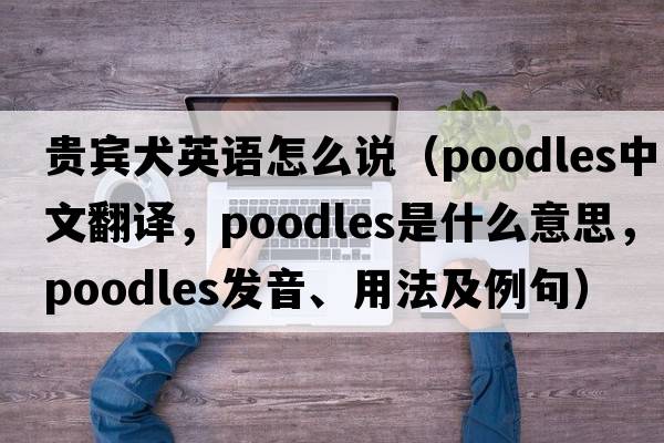貴賓犬英語(yǔ)怎么說(shuō)（poodles中文翻譯，poodles是什么意思，poodles發(fā)音、用法及例句）