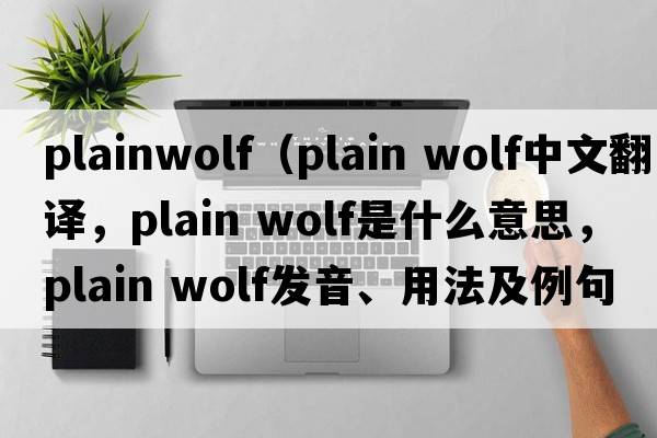 plainwolf（plain wolf中文翻譯，plain wolf是什么意思，plain wolf發(fā)音、用法及例句）