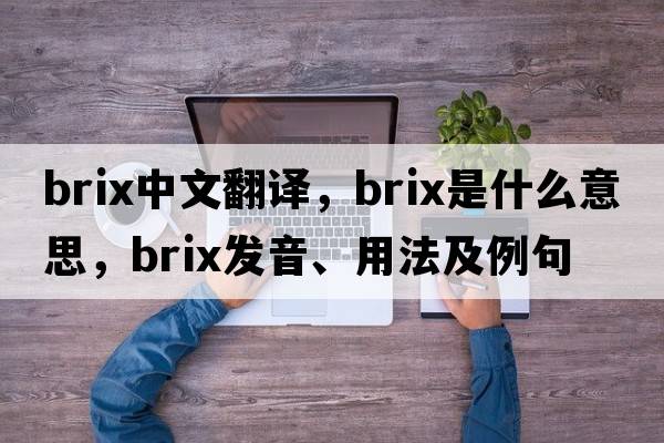Brix中文翻譯，Brix是什么意思，Brix發(fā)音、用法及例句