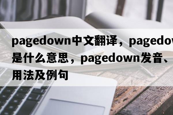 pagedown中文翻譯，pagedown是什么意思，pagedown發(fā)音、用法及例句