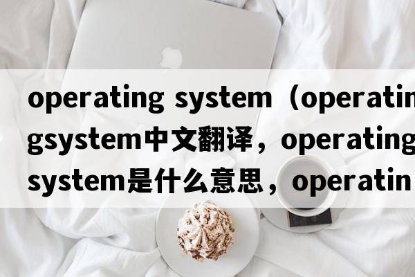 operating system（operatingsystem中文翻譯，operatingsystem是什么意思，operatingsystem發(fā)音、用法及例句）