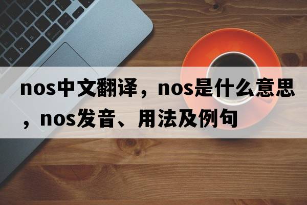 nos中文翻譯，nos是什么意思，nos發(fā)音、用法及例句
