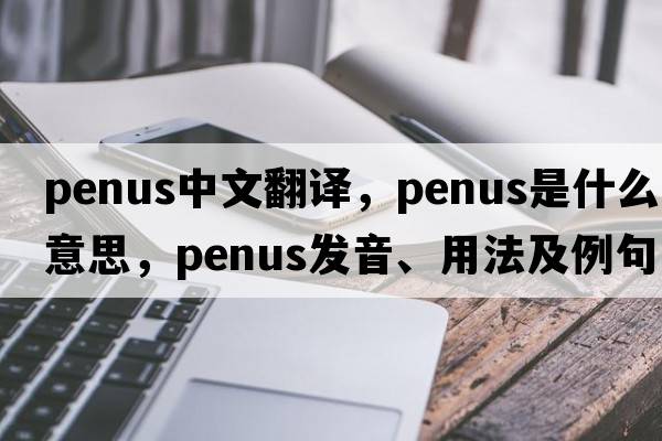 penus中文翻譯，penus是什么意思，penus發(fā)音、用法及例句