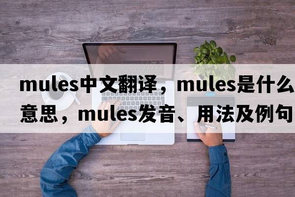 mules中文翻譯，mules是什么意思，mules發(fā)音、用法及例句