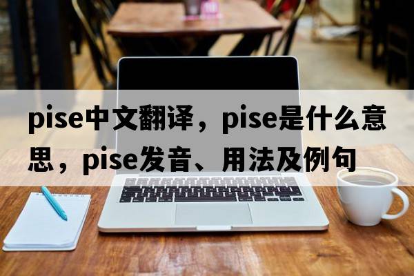 pise中文翻譯，pise是什么意思，pise發(fā)音、用法及例句