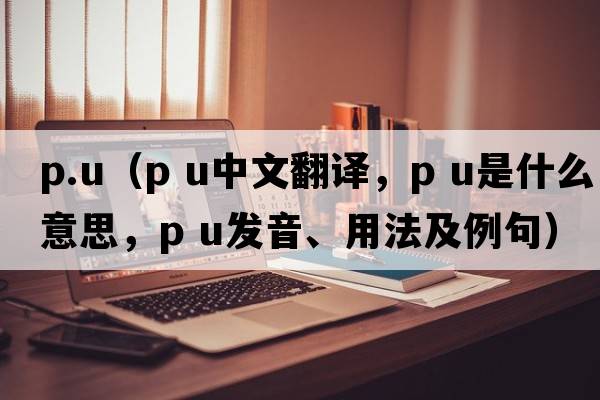 p.u（p u中文翻譯，p u是什么意思，p u發(fā)音、用法及例句）