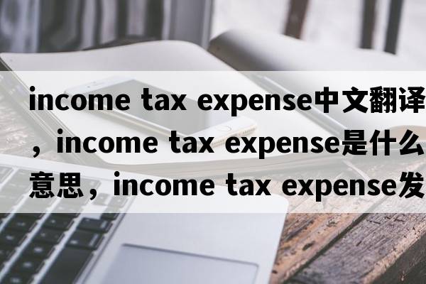 income tax expense中文翻譯，income tax expense是什么意思，income tax expense發(fā)音、用法及例句