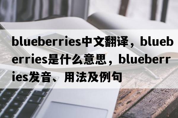 blueberries中文翻譯，blueberries是什么意思，blueberries發(fā)音、用法及例句