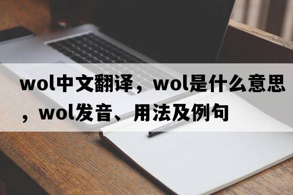 WOL中文翻譯，WOL是什么意思，WOL發(fā)音、用法及例句