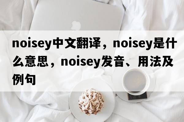 noisey中文翻譯，noisey是什么意思，noisey發(fā)音、用法及例句