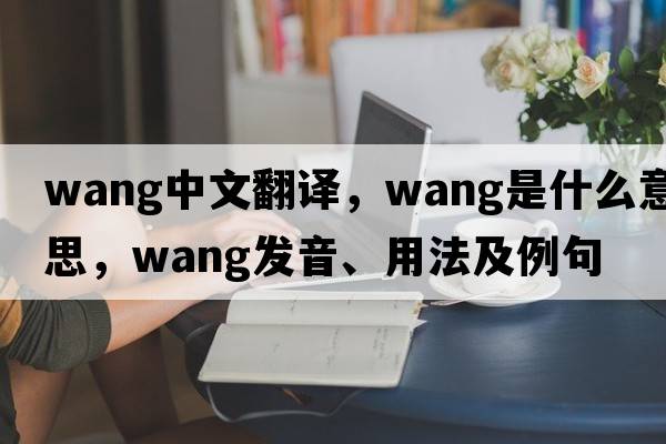 Wang中文翻譯，Wang是什么意思，Wang發(fā)音、用法及例句