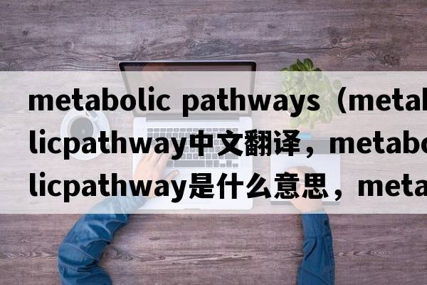 metabolic pathways（metabolicpathway中文翻譯，metabolicpathway是什么意思，metabolicpathway發(fā)音、用法及例句）