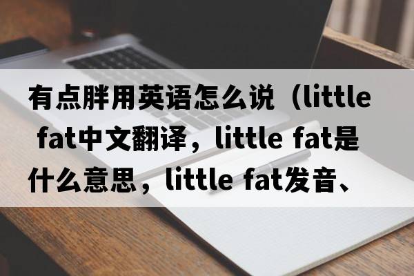 有點(diǎn)胖用英語(yǔ)怎么說(shuō)（little fat中文翻譯，little fat是什么意思，little fat發(fā)音、用法及例句）