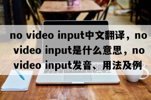 no video input中文翻譯，no video input是什么意思，no video input發(fā)音、用法及例句