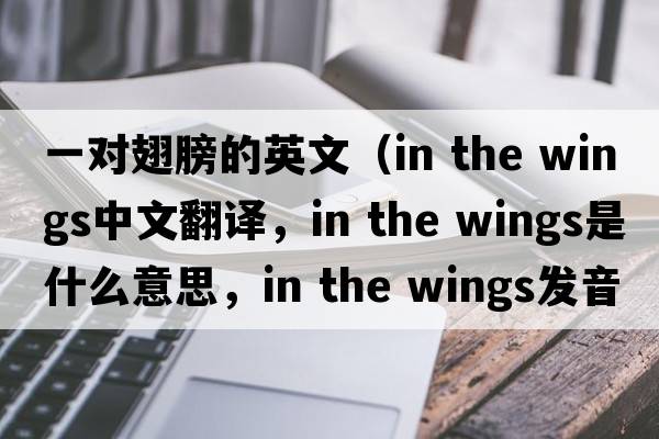 一對翅膀的英文（in the wings中文翻譯，in the wings是什么意思，in the wings發(fā)音、用法及例句）