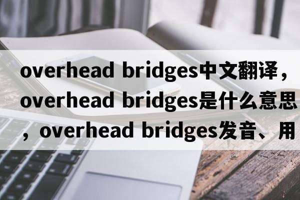 overhead bridges中文翻譯，overhead bridges是什么意思，overhead bridges發(fā)音、用法及例句