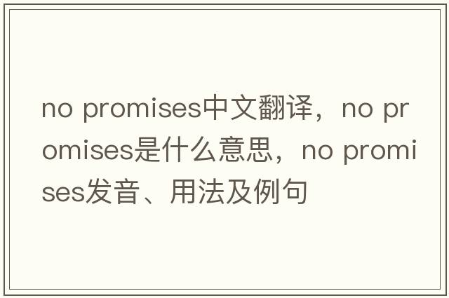 no promises中文翻譯，no promises是什么意思，no promises發(fā)音、用法及例句
