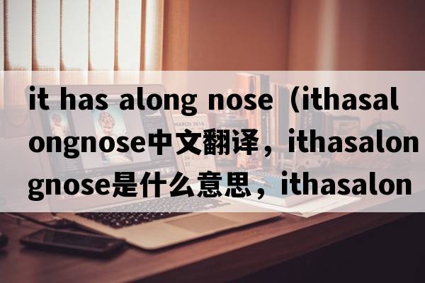 it has along nose（ithasalongnose中文翻譯，ithasalongnose是什么意思，ithasalongnose發(fā)音、用法及例句）