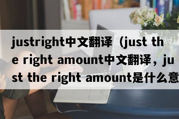 justright中文翻譯（just the right amount中文翻譯，just the right amount是什么意思，just the right amount發(fā)音、用法及例句）