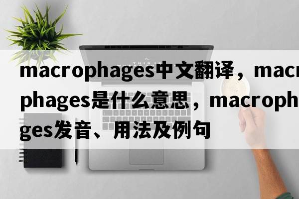 macrophages中文翻譯，macrophages是什么意思，macrophages發(fā)音、用法及例句
