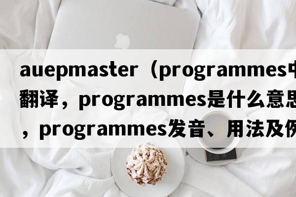 auepmaster（programmes中文翻譯，programmes是什么意思，programmes發(fā)音、用法及例句）