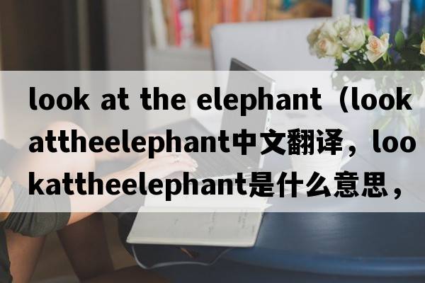 look at the elephant（lookattheelephant中文翻譯，lookattheelephant是什么意思，lookattheelephant發(fā)音、用法及例句）