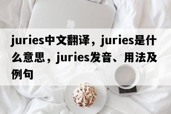 juries中文翻譯，juries是什么意思，juries發(fā)音、用法及例句