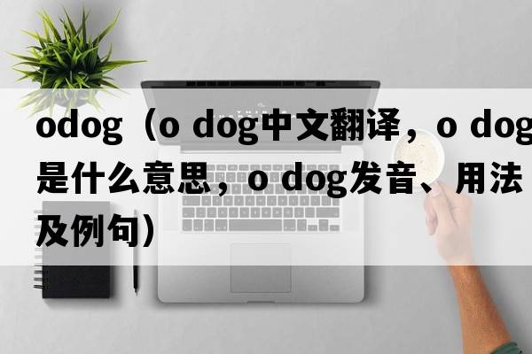 odog（o dog中文翻譯，o dog是什么意思，o dog發(fā)音、用法及例句）